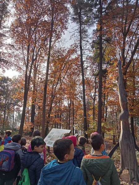 Immagine-WhatsApp-2025-11-10-ore-13.07.06_0c8118c9