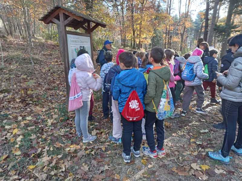 Immagine-WhatsApp-2025-11-10-ore-13.07.06_860676c0