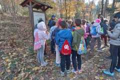 Immagine-WhatsApp-2025-11-10-ore-13.07.06_860676c0